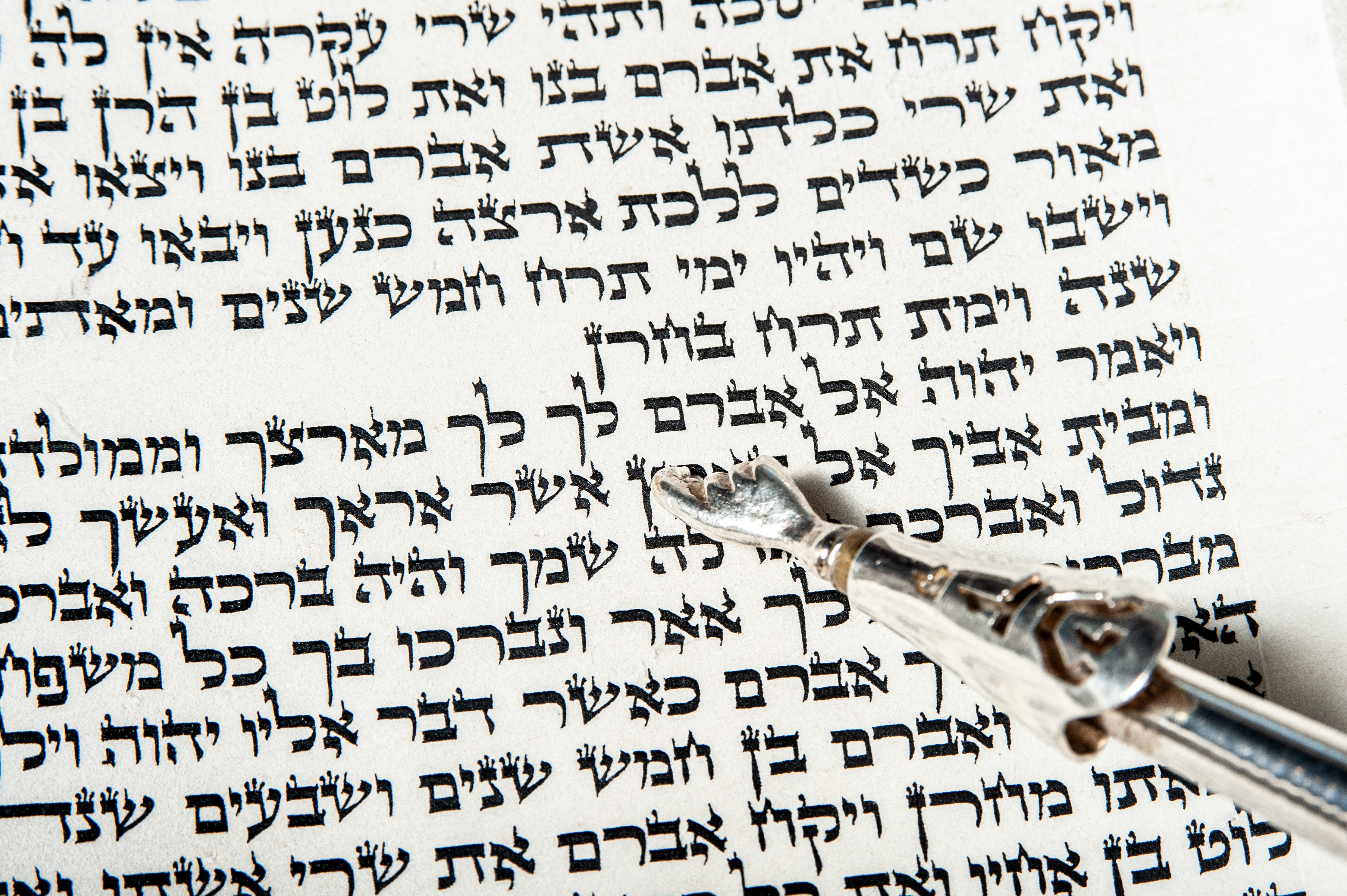 Torah Reading.